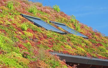 Herringfleet living roof systems