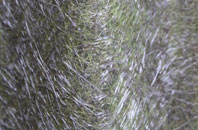 Herringfleet fibreglass roof work